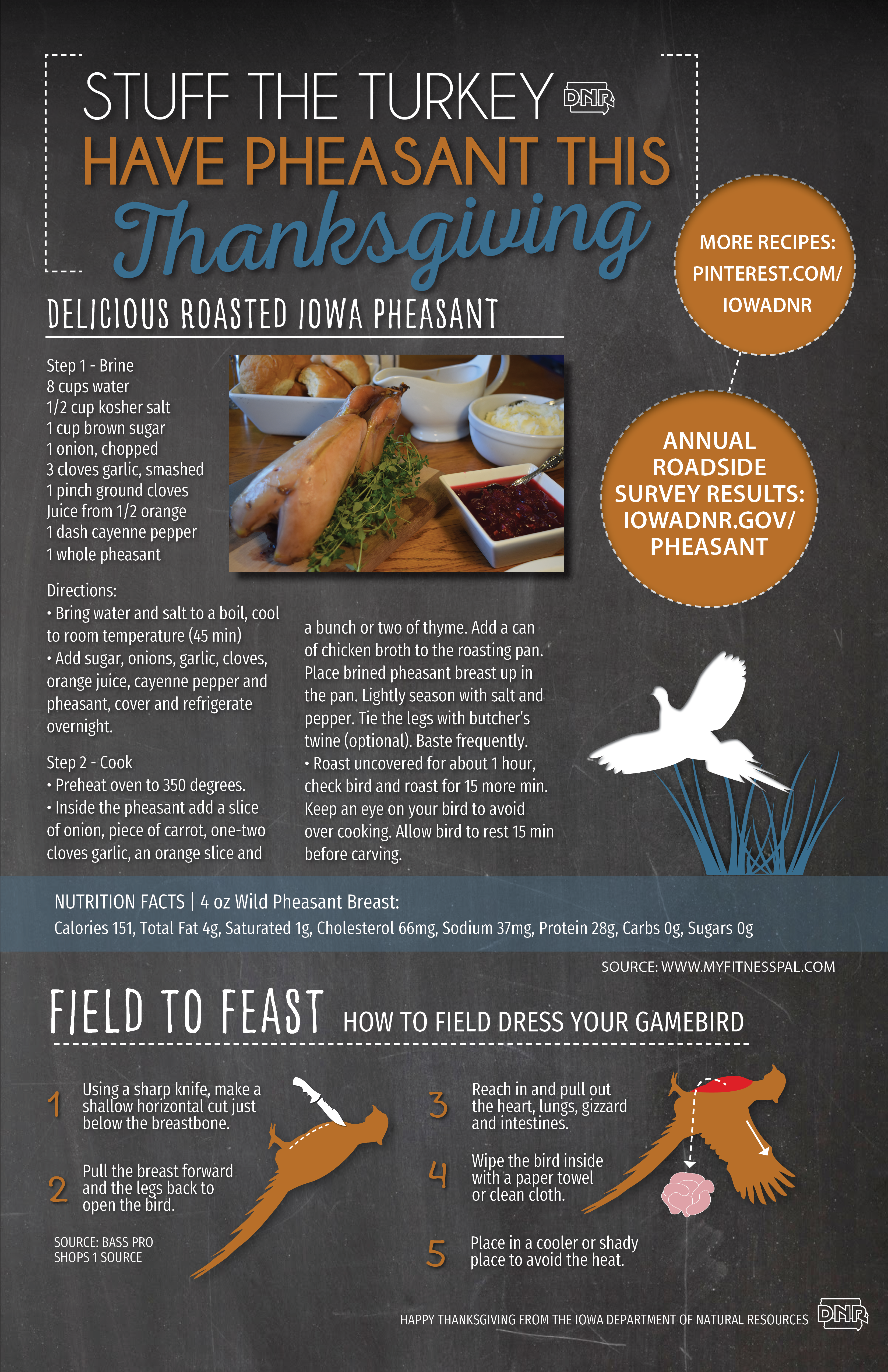 Stuff turkey this Thanksgiving and serve pheasant instead! Delicious Roasted Pheasant recipe | Iowa DNR
